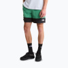 Pánske trekingové šortky The North Face Leynar dimmed algae/tnf black