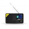 Tesla Sound DAB65