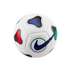 Nike MAESTRO