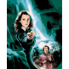 ZUTY Maľovanie podľa čísel - PLAGÁT HARRY POTTER A FÉNIXOV PORIADOK - HERMIONA Rámovanie: bez rámu a bez vypnutia plátna, Rozmer: 40x50 cm