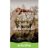E-kniha Světlo bylo dokonalé - Caréne Ponte