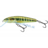 SALMO Wobler Minnow Sinking Minnow 5cm, 5g (potápavý)