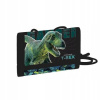 Karton P+P Premium Dinosaurus