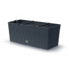 Truhlík RATO CASE 60 cm - barva: antracit
