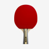 PONGORI Stolnotenisová raketa TTR 560 Speed Carbon 5* ITTF pre kluby Shakehand