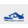 Nike Dunk Low Bp Modrá EUR 29,5