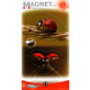 Magnetky Beruška - MF 051