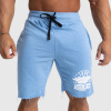 Pánske teplákové kraťasy Iron Aesthetics Force, svetlo modrá, Farba Modrá, Veľkosť 3XL