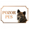 Akita Inu - Kovová tabuľka POZOR PES