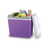 Chladiaci box 23l 220V/12V