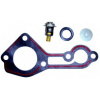 RECMAR Sada termostatu Mercury/Mariner 70-125 hp