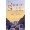 Bod zlomu (Danielle Steel)