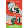 E-kniha Jazyky pravdy - Salman Rushdie