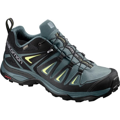 Salomon X Ultra 3 GTX W Hiking Shoes Artic/Darkest Spru EU 36/215 mm 889645412221