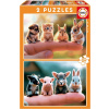 Puzzle Malá zvířátka 2x20 dílků