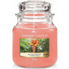 Yankee Candle The Last Paradise 411 g