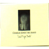 CD Charlie Jones' Big Band - UNTIL I GET BALD