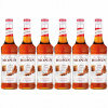 6 x Barmanský sirup MONIN Salted Caramel Slaný karamel 700 ml