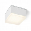 Rendl R13628