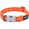 Obojok RD 25 mm x 41-63 cm - Desert Paws Orange