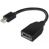 Lenovo 4X90L13971 DisplayPort adaptér [1x mini DisplayPort zástrčka - 1x zásuvka DisplayPort] černá 0 m