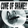 Faith No More - Cone Of Shame / Vinyl / SP / Clear [SP]