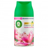 AirWick Freshmatic náplň do osviežovača vzduchu Magnólia a kvety čerešní 250 ml