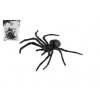 Teddies Čierny pavúk 5 ks