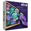OKTO Energy Výtvarná modelovacia sada sukulenty v drevenom ráme 21x21 cm