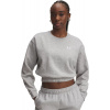 UNDER ARMOUR UA Rival Fleece Piped Crew-GRY - S