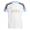 adidas House of Tiro Nation Pack T-Shirt Juniors White/Blue 11-12 Years