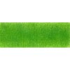 Pastelka Derwent Lightfast - Grass Green (70%)