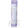 Pulsatilla gra.1 x 4 g 30CH