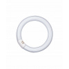 Osram Kruhová žiarivka Lumilux T9, G10Q, 32 W, 2100 lm, 4000 K, opálová