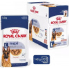 Royal Canin Maxi Adult velká plemena 10 x 140 g 4722