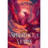 Spriadačka vetra - Julie Johnson