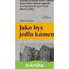E-kniha Jako bys jedla kámen - Wojciech Tochman