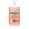 Sanytol dezinfekčné mydlo do kuchyne grapefruit & svieži citrón 250 ml
