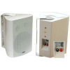 100V reproduktor BS-1050TS/W