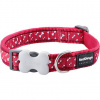 Obojok RD 15 mm x 24-37 cm - Flying Bones Red