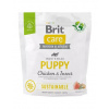 Brit care dog sustainable puppy chicken insect granule pre šteňatá a mladé psy 1 kg