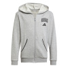 Adidas Detská mikina s kapucňou Seasonals Essentials Collegiate Farba: Šedá, Veľkosť: 176