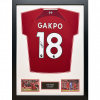 Legendy zarámovaný dres Liverpool FC 2022-2023 Gapko Signed Shirt (Framed)