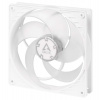 ARCTIC P14 PWM pst (white/transparent) (ACFAN00221A)
