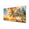 Obrázok na sklenenej palmatickej mori krajina 140x70 (Potlač skla Palma Morská krajina 140x70)