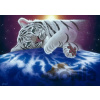 Grafika Schimmel Cuddle Time III 2000 dielov