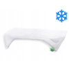 Brotex prikrývka Aloe Vera 140x220 zimná