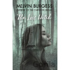 The Lost Witch - Melvin Burgess