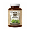 Canvit BARF Yucca Schidigera plv. 160 g