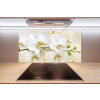 Sklenený panel do kuchynskej linky Orchidea 100x50 cm